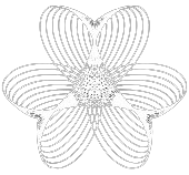 Six Sigma Technology